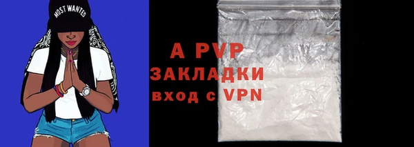 ГАЛЛЮЦИНОГЕННЫЕ ГРИБЫ Заволжье