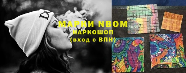 ГАЛЛЮЦИНОГЕННЫЕ ГРИБЫ Заволжье