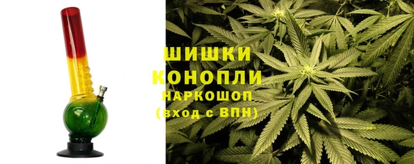 ГАЛЛЮЦИНОГЕННЫЕ ГРИБЫ Заволжье