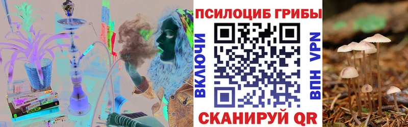 Купить закладки  Артёмовск  Псилоцибиновые грибы мицелий 